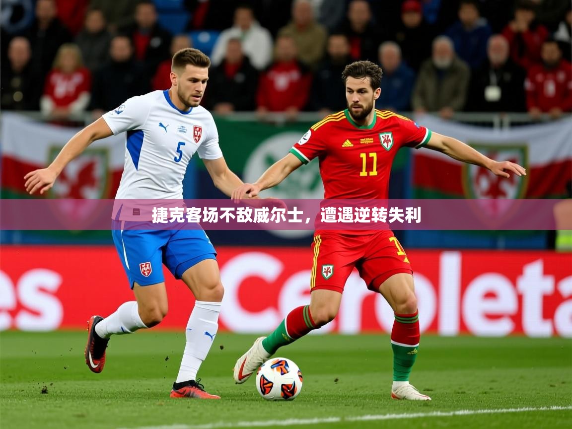 2026乐鱼体育在线捷克客场不敌威尔士，遭遇逆转失利  第4张